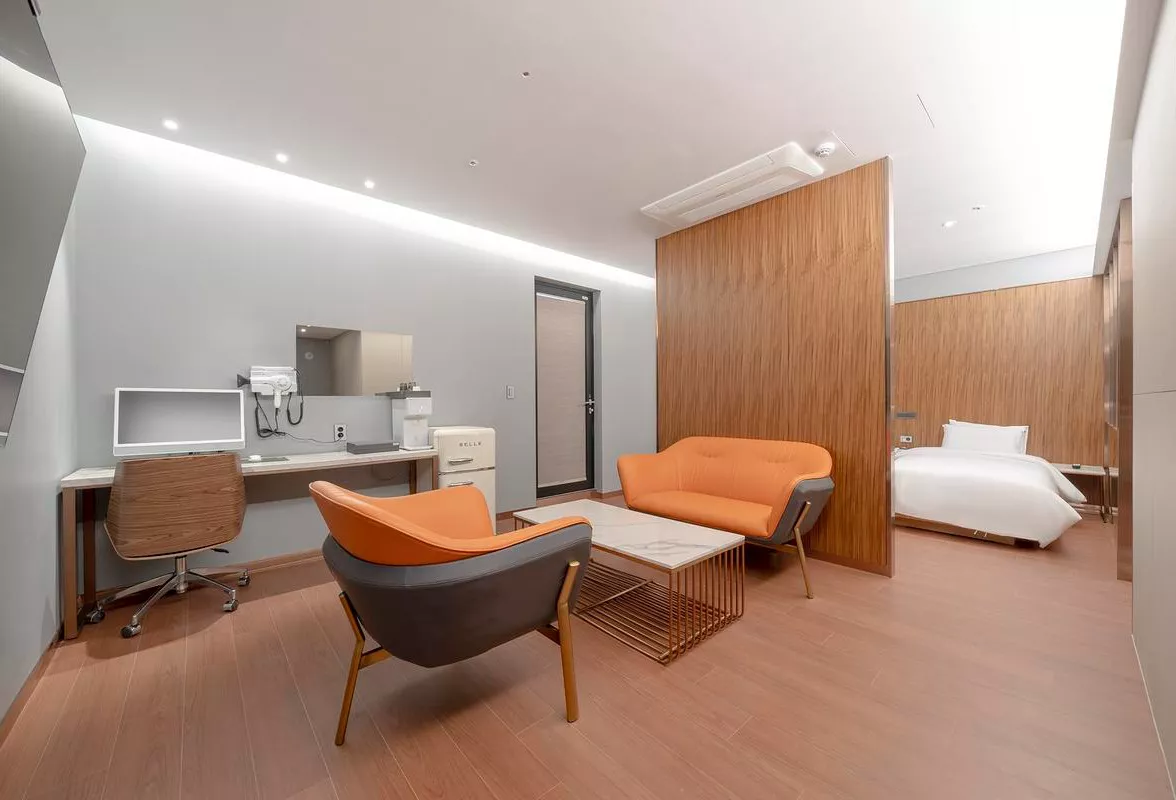 Contemporary Living Area
