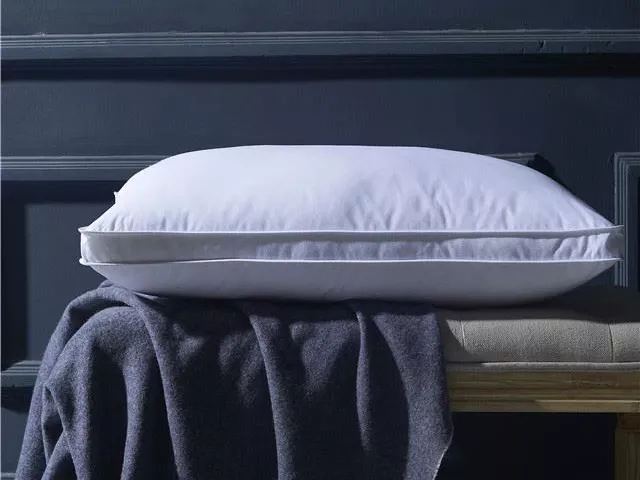 Pillow-100% Cotton Microfiber