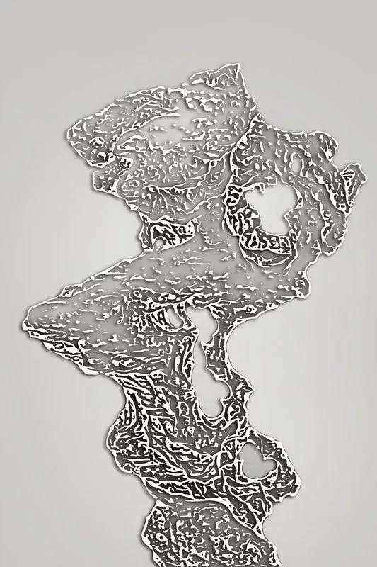 1710324379129938.webp 1710324379129938.webp
