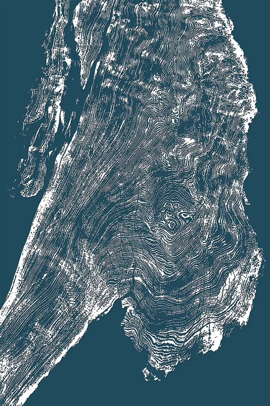 1710326557446798.webp