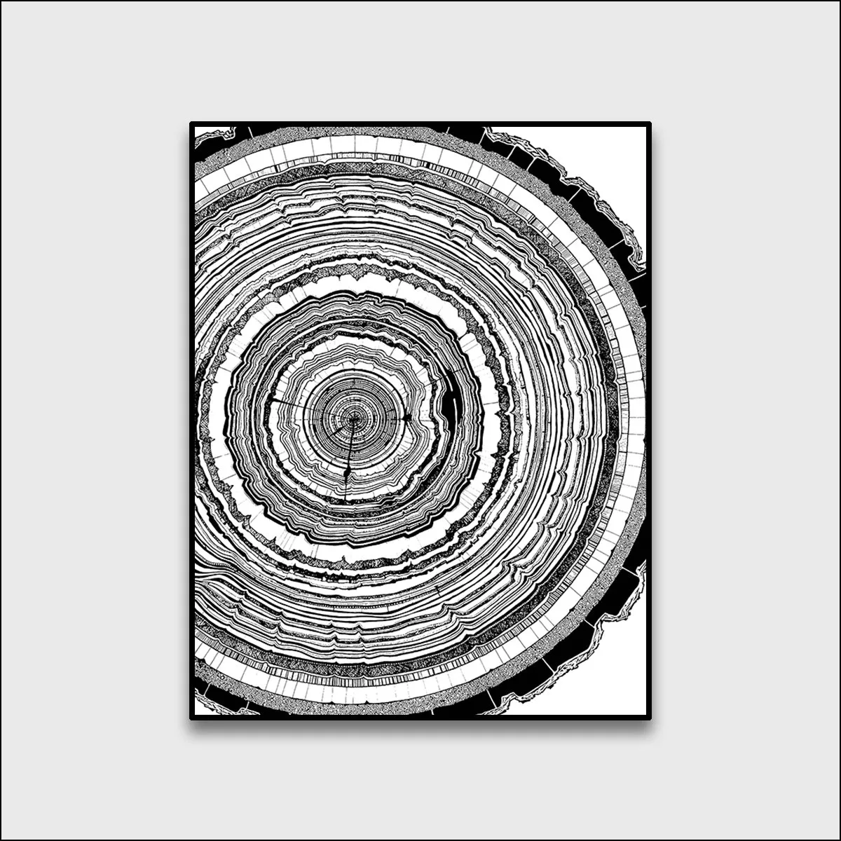 1710326708115514.webp