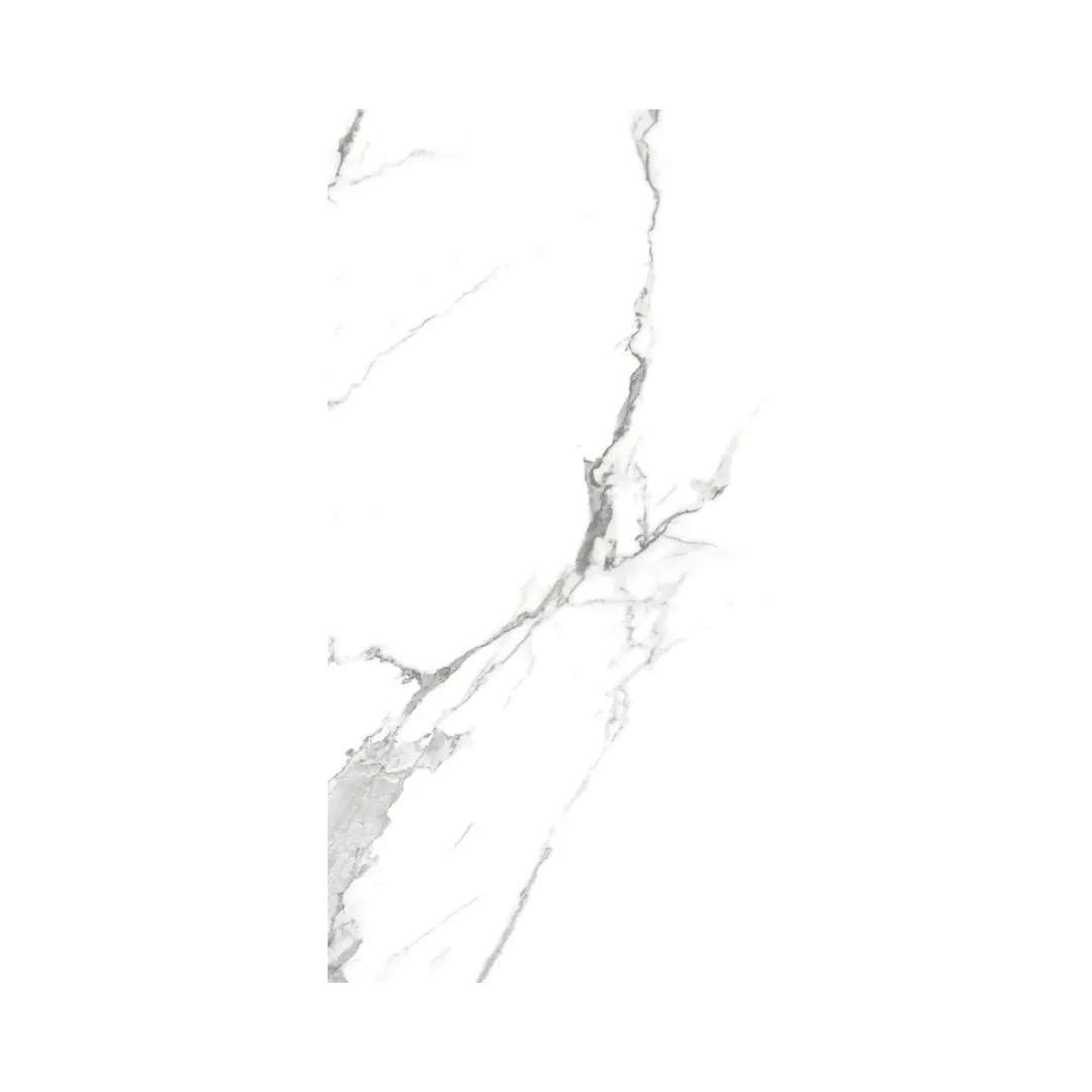 1713768990960727.webp 1713768990960727.webp