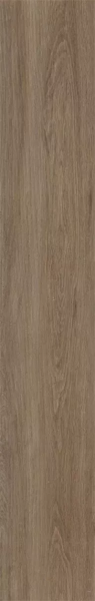 1715052624662646.webp 1715052624662646.webp