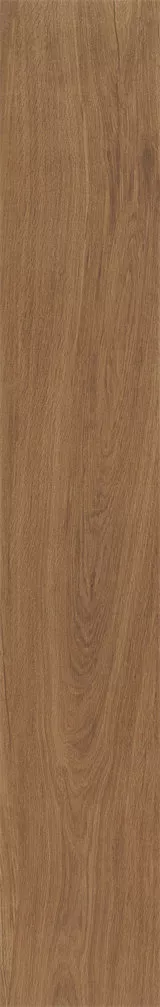 1715053676649005.webp