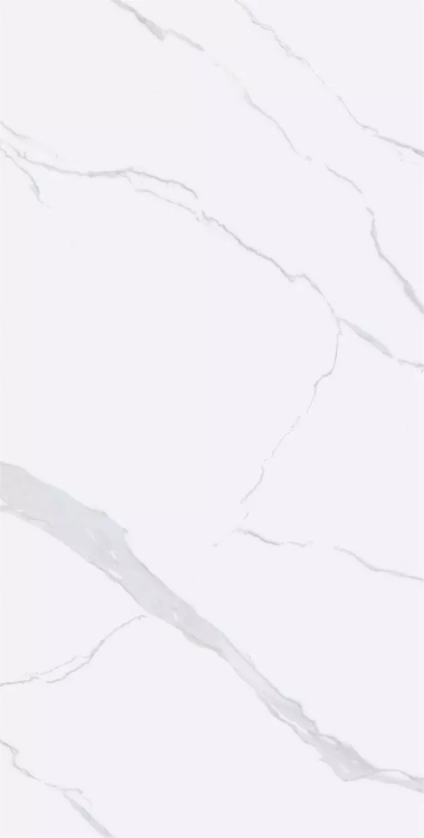 1715066530988138.webp 1715066530988138.webp