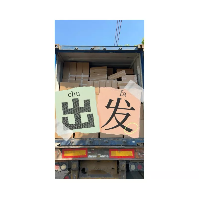1741568733113173.webp