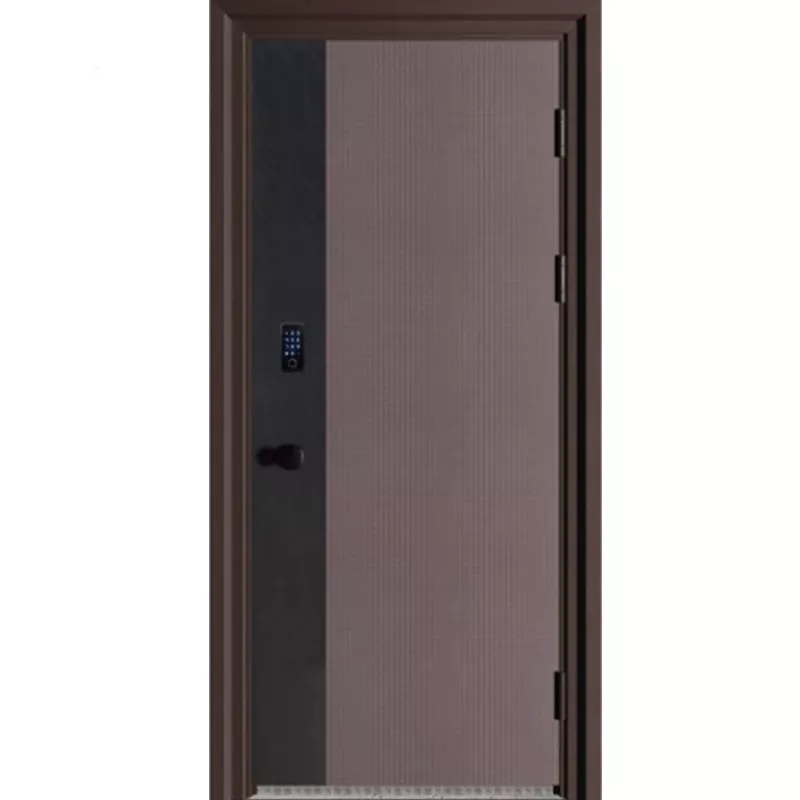 Steel Security Door-10