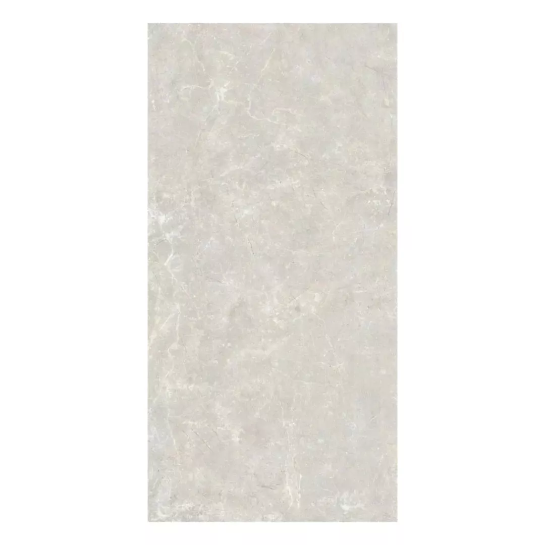Porcelain-Quanta Grey - 9911