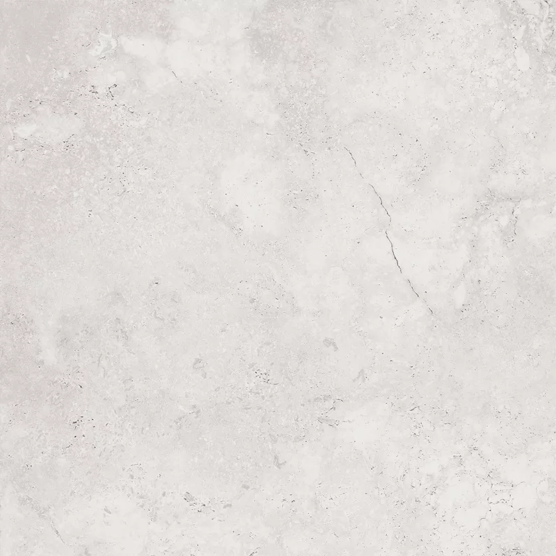 Porcelain Innovation-DINO D6151