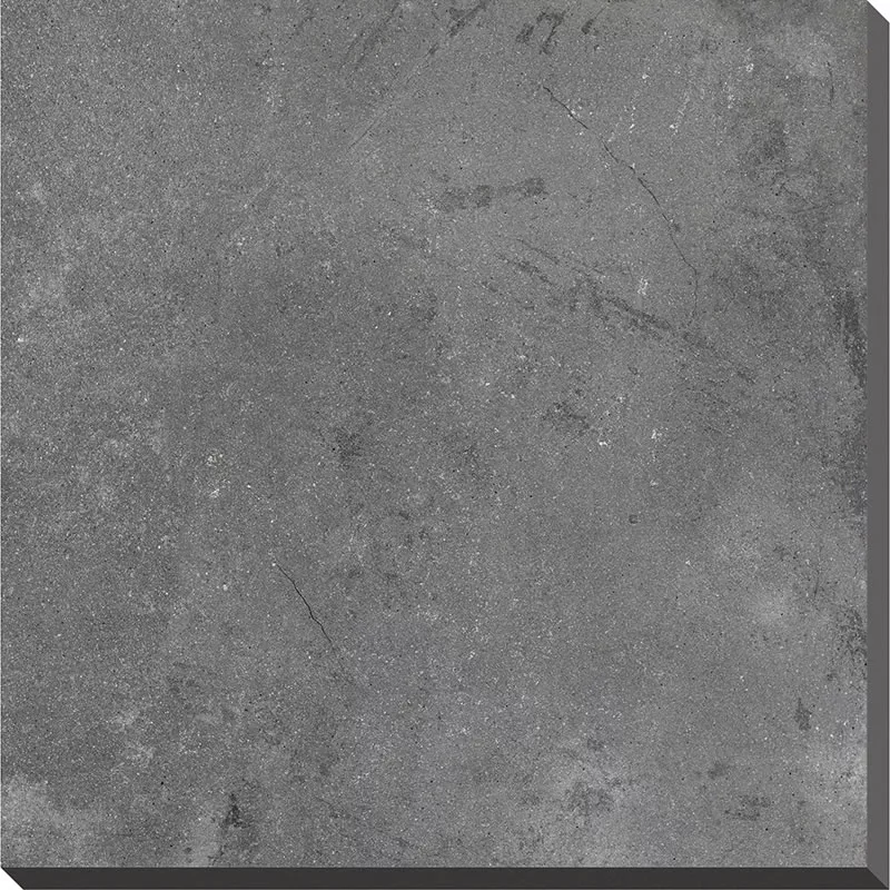 Porcelain Paver-BLUESTONE CAT PAW PD206629H