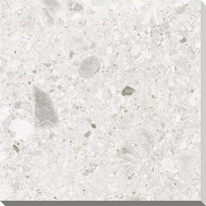 Porcelain Paver-CEPPO PD6121H
